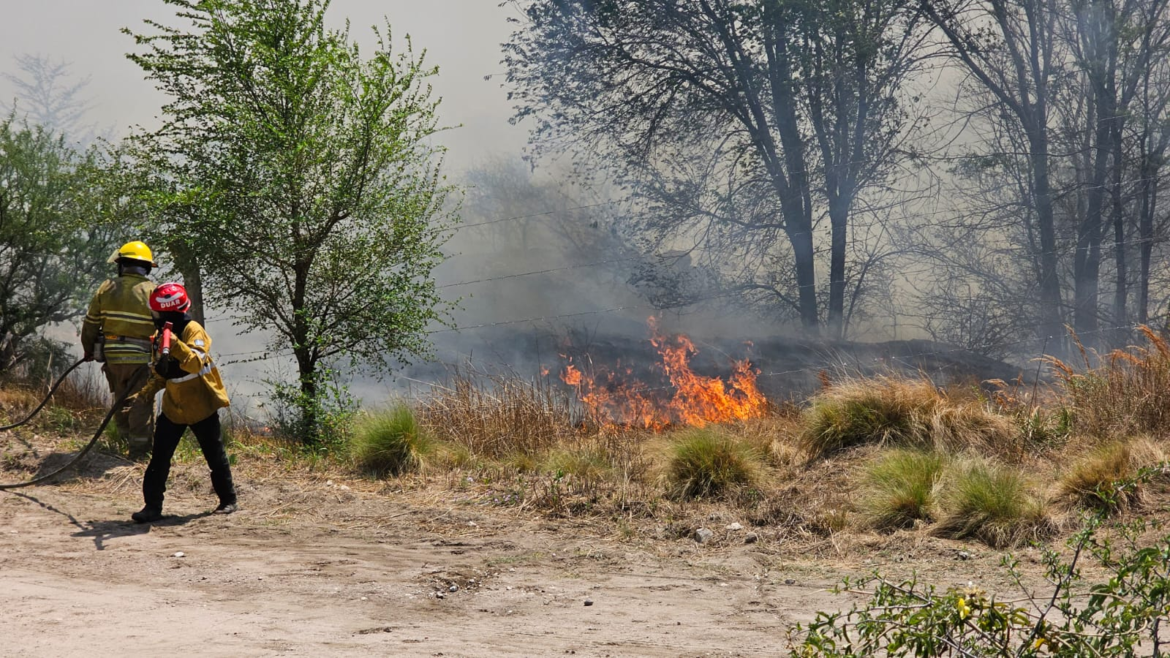 Contienen los incendios forestales en Córdoba